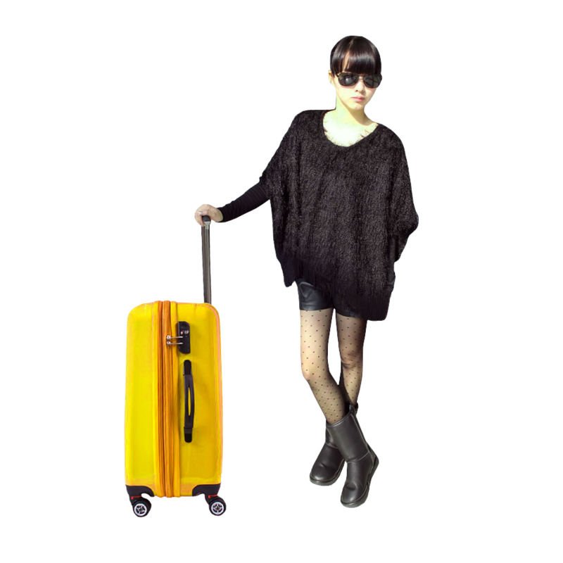 Trolley bag.jpg