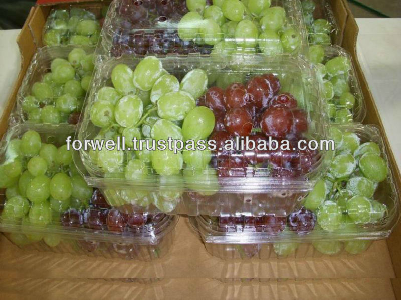 GRAPES ( Seedlees & Seeded ) ( Red & Green )