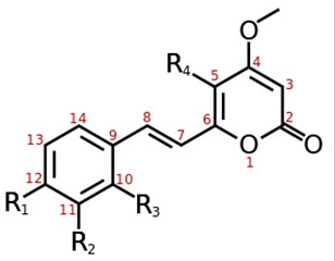 Kava,Kava Extract,Kava Root Extract (Fiji Kava)