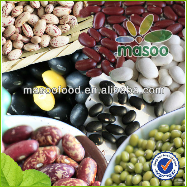 Round shape Light speckled Kidney Beans with better price