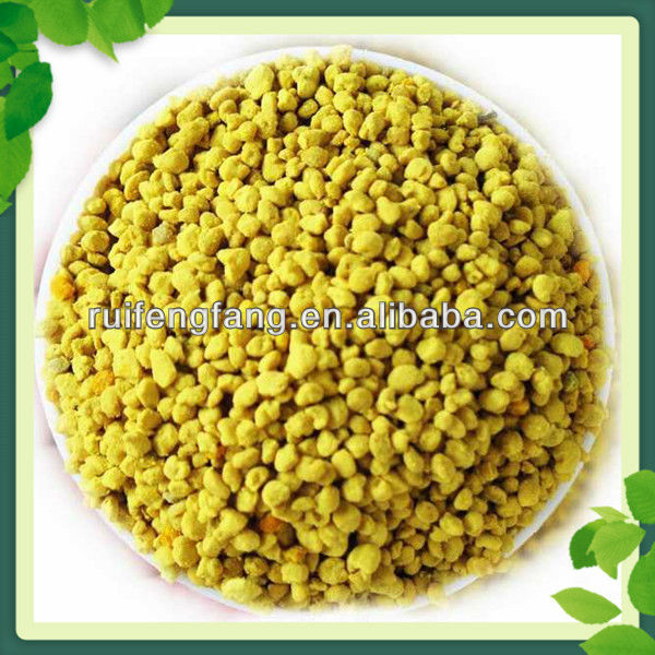 2014 high qulity 100% natural rape pollen