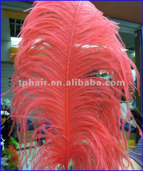 2011 Decoration&Hair延長のための実質のだちょうの羽問屋・仕入れ・卸・卸売り
