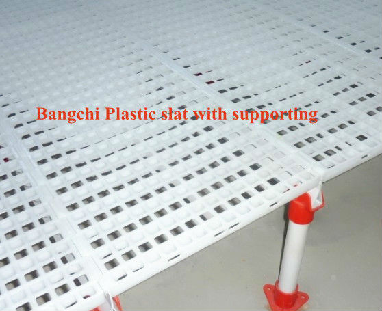 plastic slat_with supporting.jpg