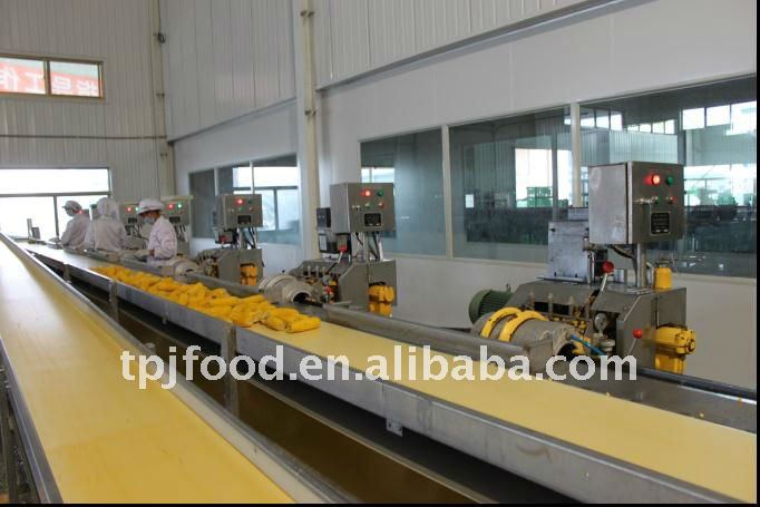 frozen sweet corn kernels with FDA BRC,HALAL,HACCP,KOSHER