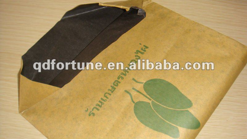 2 layers mango grow paper bag