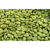 Green Coffee Bean Extract powder /Pure green coffee bean extract( with 10%~98% Chlorogenic Acid )