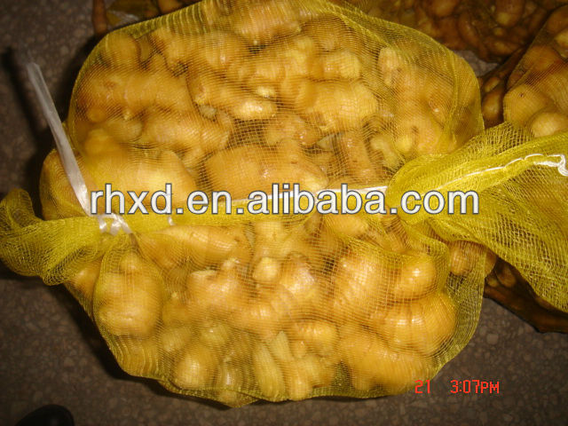 the best vegetable ginger fresh