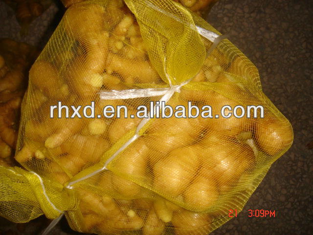 2013 chinese fresh ginger on farm for sale best price