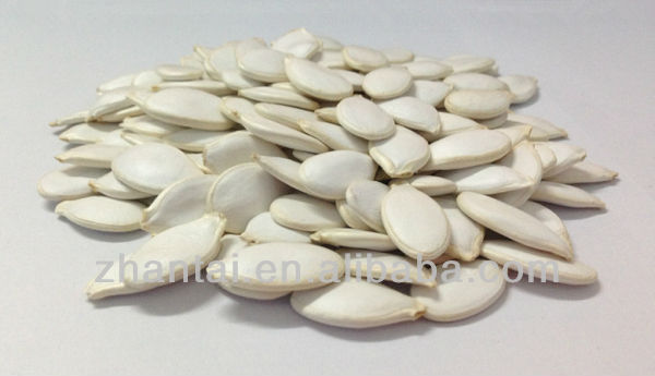 Pumpkin Seeds as Canada Wholesale Products