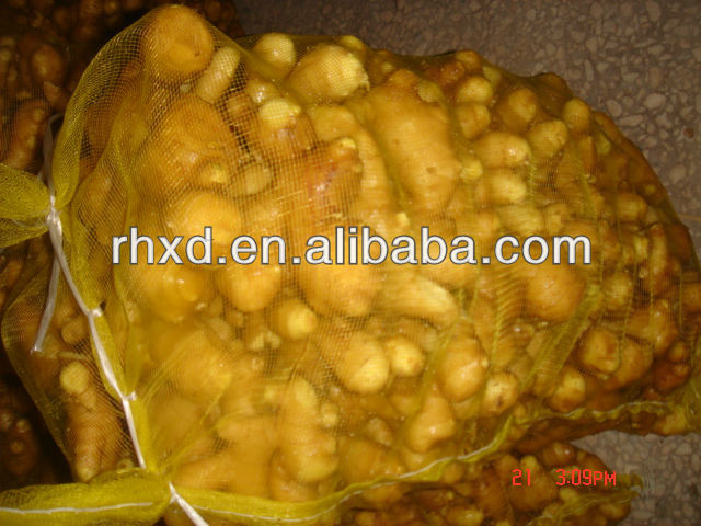 2013 chinese fresh ginger on farm for sale best price