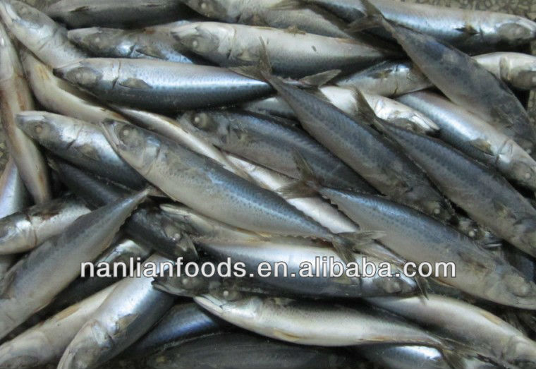 200-300sea3