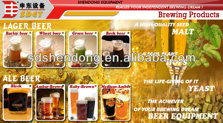 Professional 5BBL Small Beer Brewery Equipment