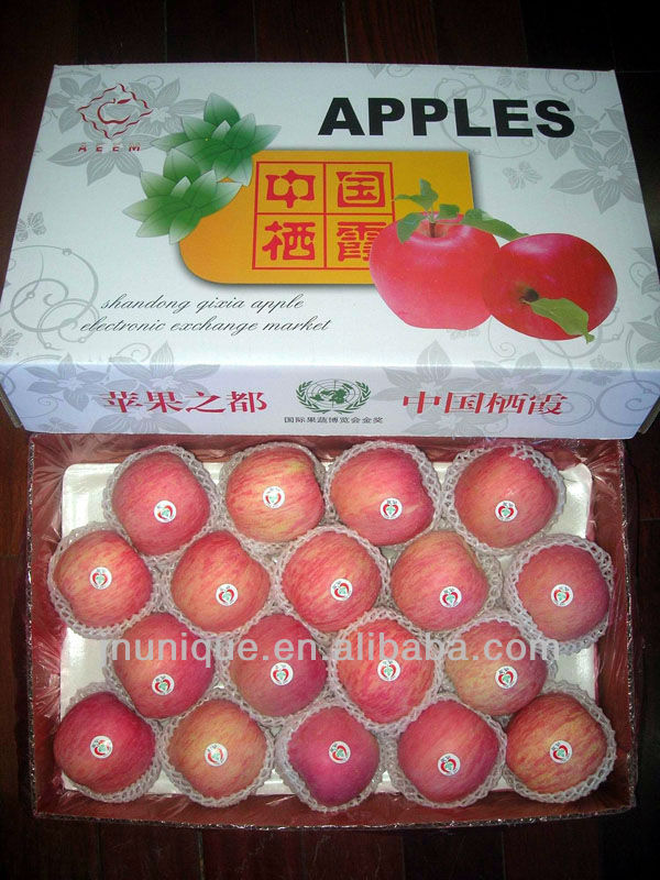 bulk apples,fresh apple fruit for sale