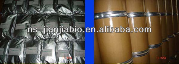 white tea extract powder