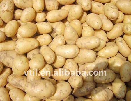 4Potato.jpg