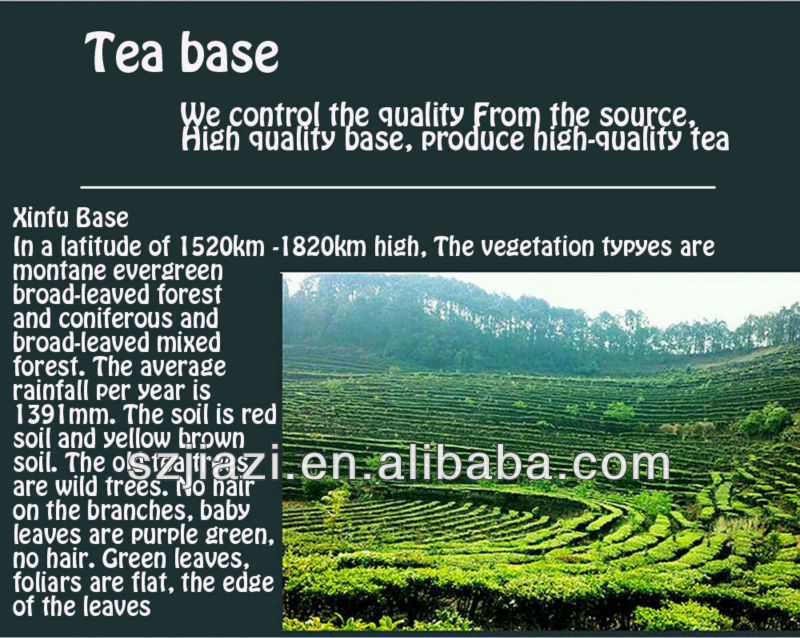 Raw Puer green tea brand names
