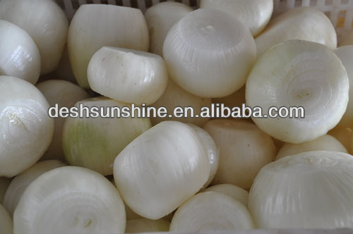 Export New Crop Red Onion