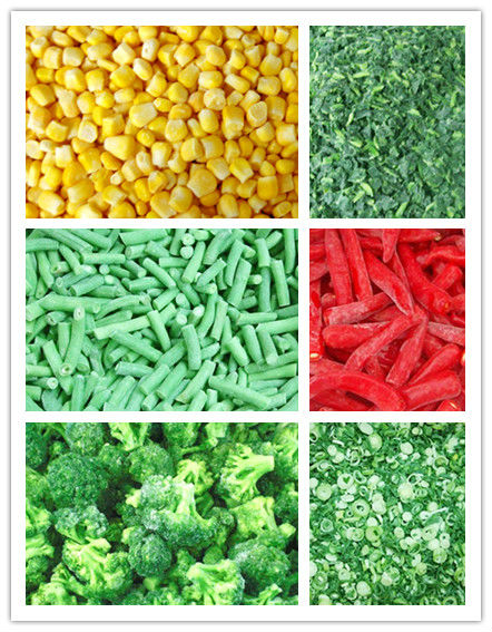 IQF Carrot Slices