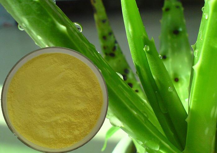 GMP Aloe Vera Extract Emodin powder