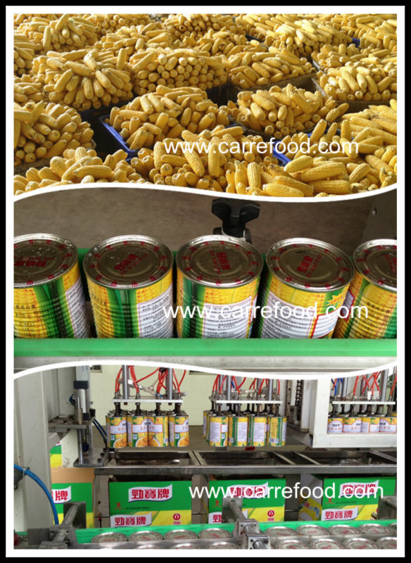 For 340G with 250g canned sweet corn in vacuum