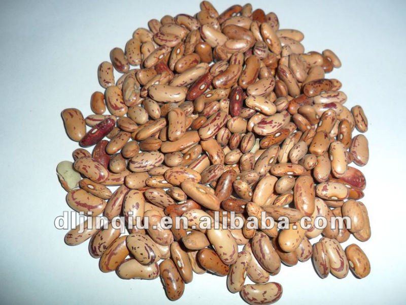 light speckled kidney bean