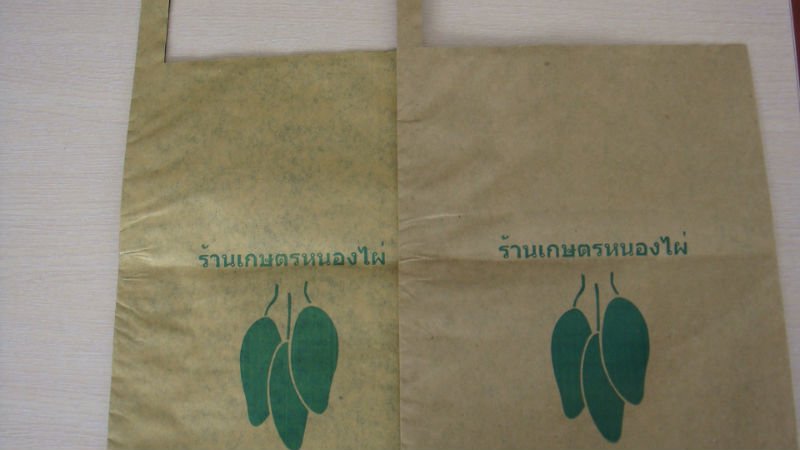 2 layers mango grow paper bag