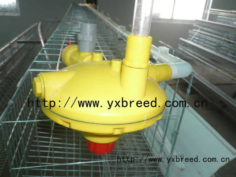 Double cold galvanized layer chicken cage