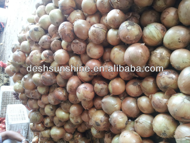 2013 bulk yellow onion, fresh yellow onion for sale