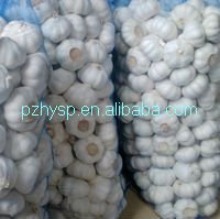 Garlic price from China (the mostcompetitive price)