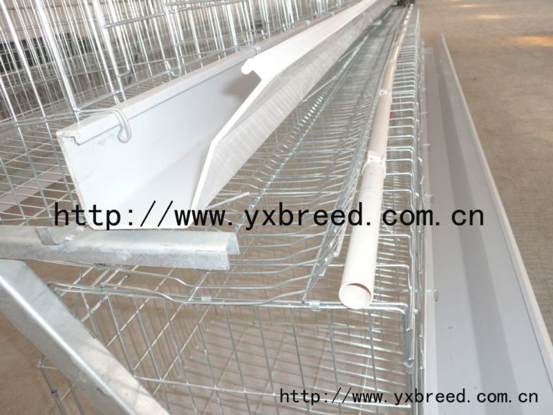Double cold galvanized layer chicken cage