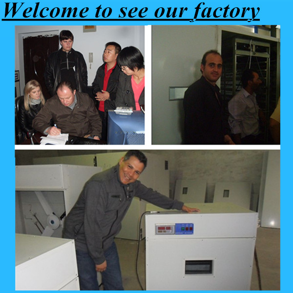 2013 new enegy saving chicken feet plucker PL-20 FOR SALE