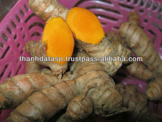 100% Natural Turmeric Root Extract 95% Curcumin Powder from vietnam