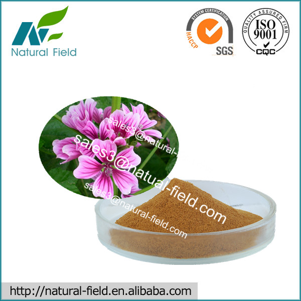100 Natural Marshmallow Root Extract Powder 101,China Natural Field