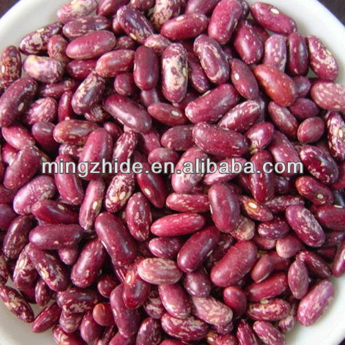 green mung beans specification