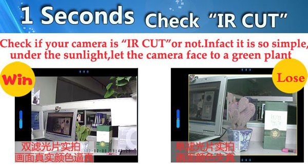 8IR CUT.jpg