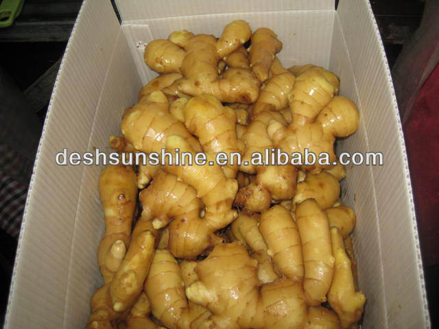 best quality ginger with cheapest price