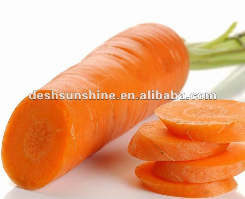 Export 2012 new crop Chinese fresh carrot vegetables