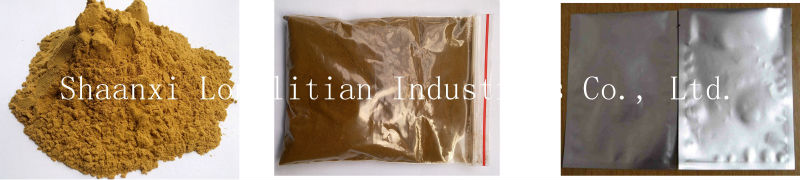 high quality ganoderma extract/ reishi mushroom extract