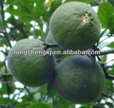 Methyl synephrine price.methyl synephrine hcl.synephrine price