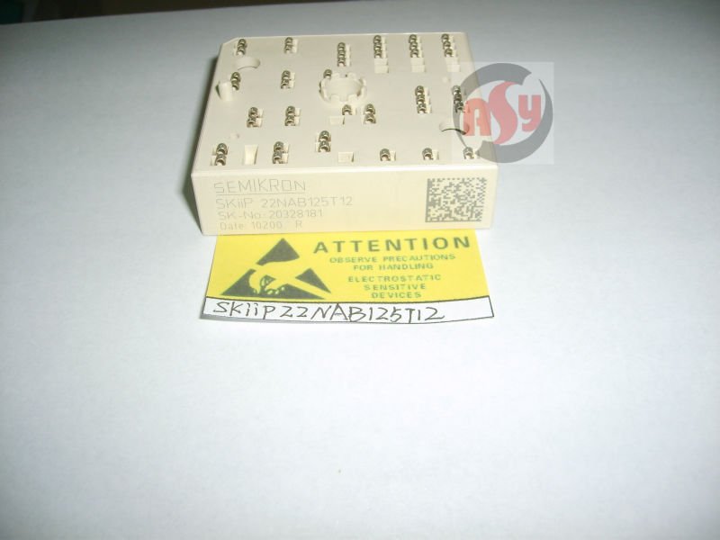 SKiiP22NAB125T12_.jpg