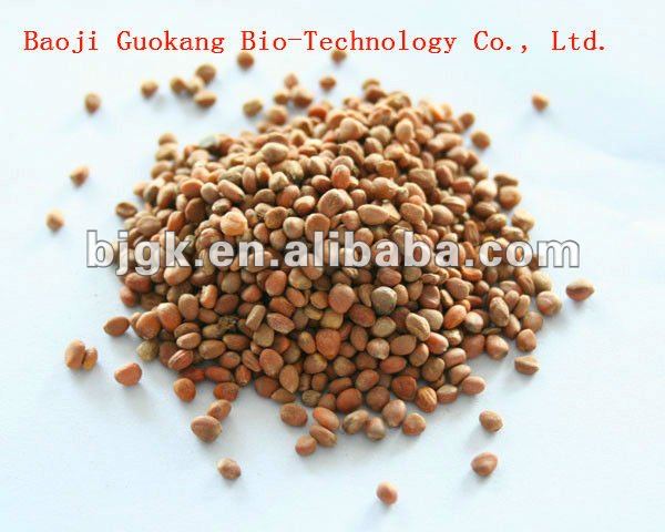 Radish seed P.E. Extract 10:1 Raphanin Radish glycosides