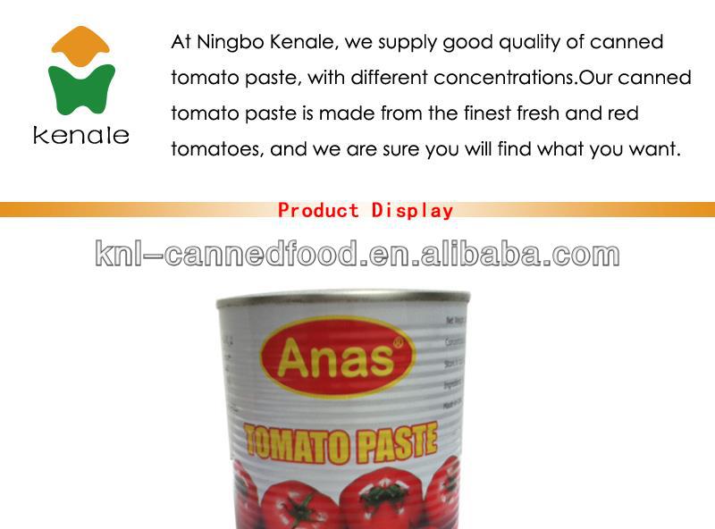 Supplying bulk tomato paste in tin 800gX12tins