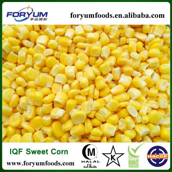 Frozen Sweet Corn Kernel