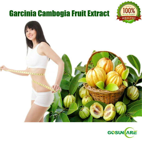 Garcinia Cambogia Benefits - The Gambooge Miracle Where Can I Buy