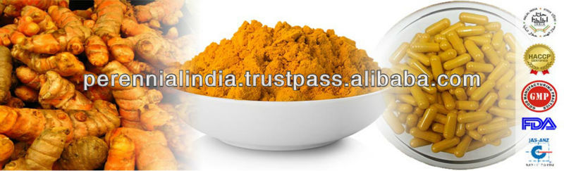 Natural Indian Turmeric Extract 95%/ Organic Turmeric Powder 95%