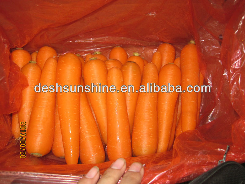 New Crop Bulk Fresh Carrot for Sale