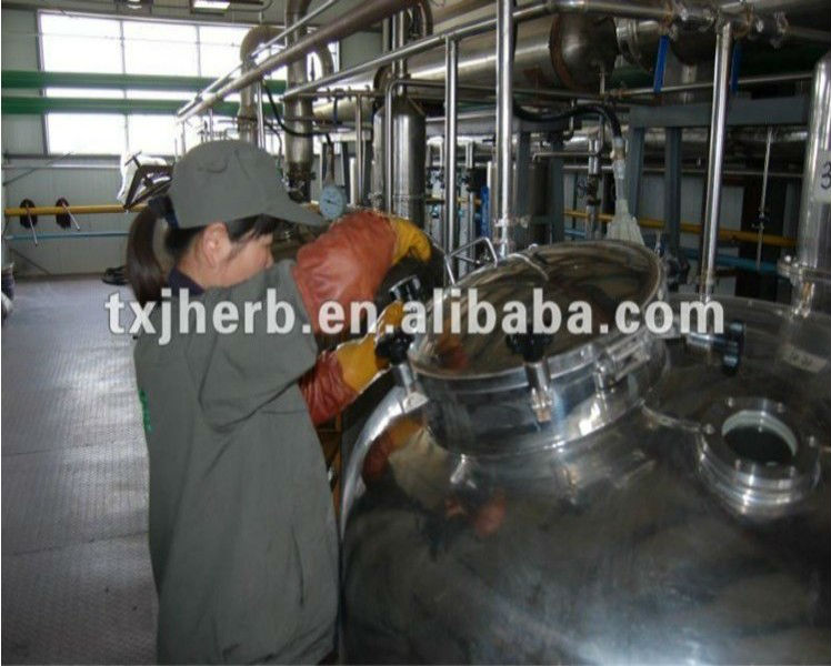 ISO GMP standard pure saffron extract slimming