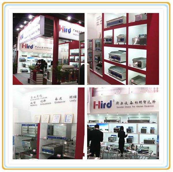CE with desktop gas fryer HOT model HIRD