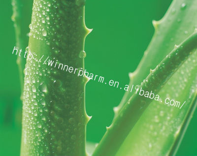 Aloe Extract /Barbaloin A /barbaloin std/Aloin