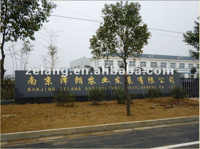 Althaea Rosae Root Extract, Marshmallow Root P.E